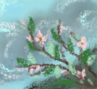 302 Помешкина